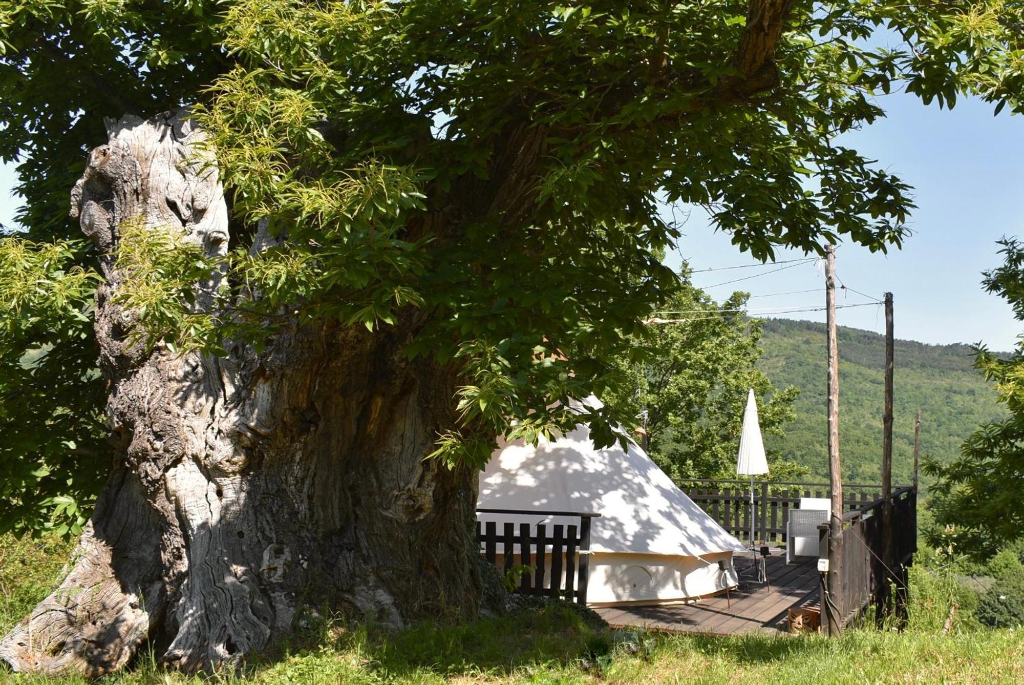 Tenda Glamping Vista Sulla Valle - Podere Di Maggio Santa Fiora Exterior photo